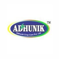 adhunik